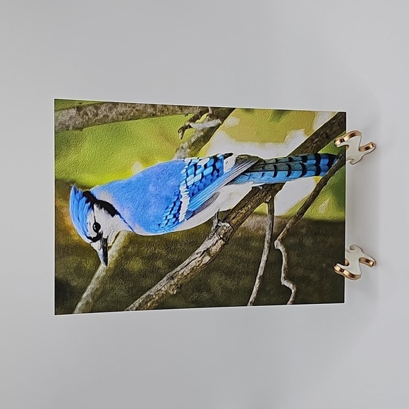 4x6 Spring‎ Blue Jay Bird Oil Painting Photography Print - Picture 4 of 4